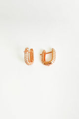 Small White Zircon Stone Silver Earrings