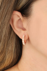 Sterling Silver Earrings with Stones