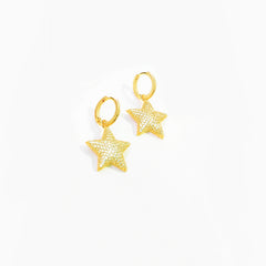 Zircon Stone Chubby Star Silver Earrings