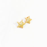 Studded Chubby Star Silver Earrings