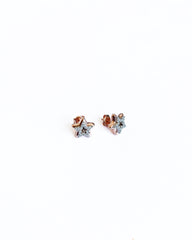 أقراط فضية مرصعة بالنجوم بلونين